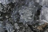 Purple Cubic Fluorite Crystals on Sphalerite - Elmwood Mine #244241-1